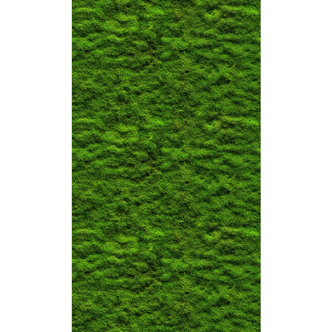 39839-1 vliesová obrazová tapeta na zeď s digitální tiskem, role 8,8 m x 53 cm