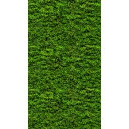 39839-1 vliesová obrazová tapeta na zeď s digitální tiskem, role 8,8 m x 53 cm